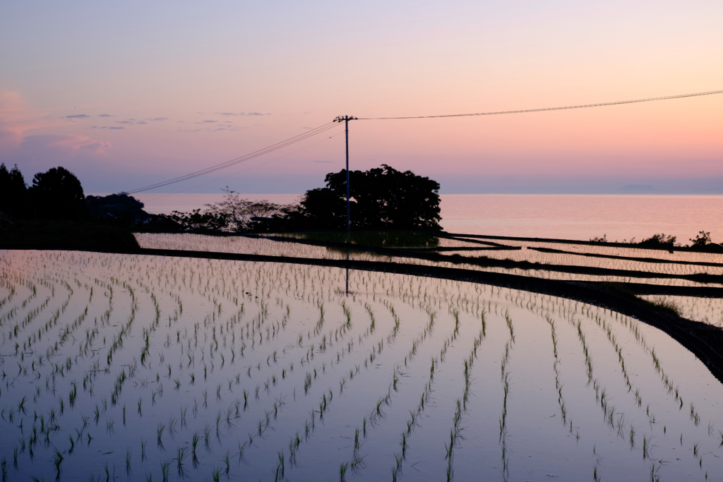 あれもこれもと