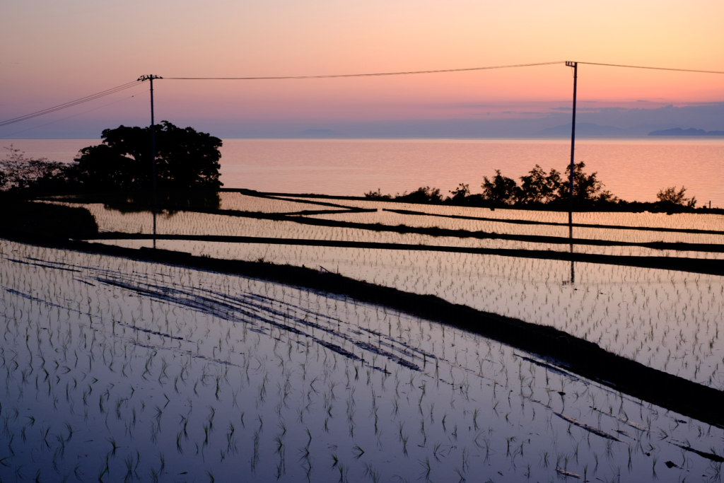 淡く染まって指が弾んで