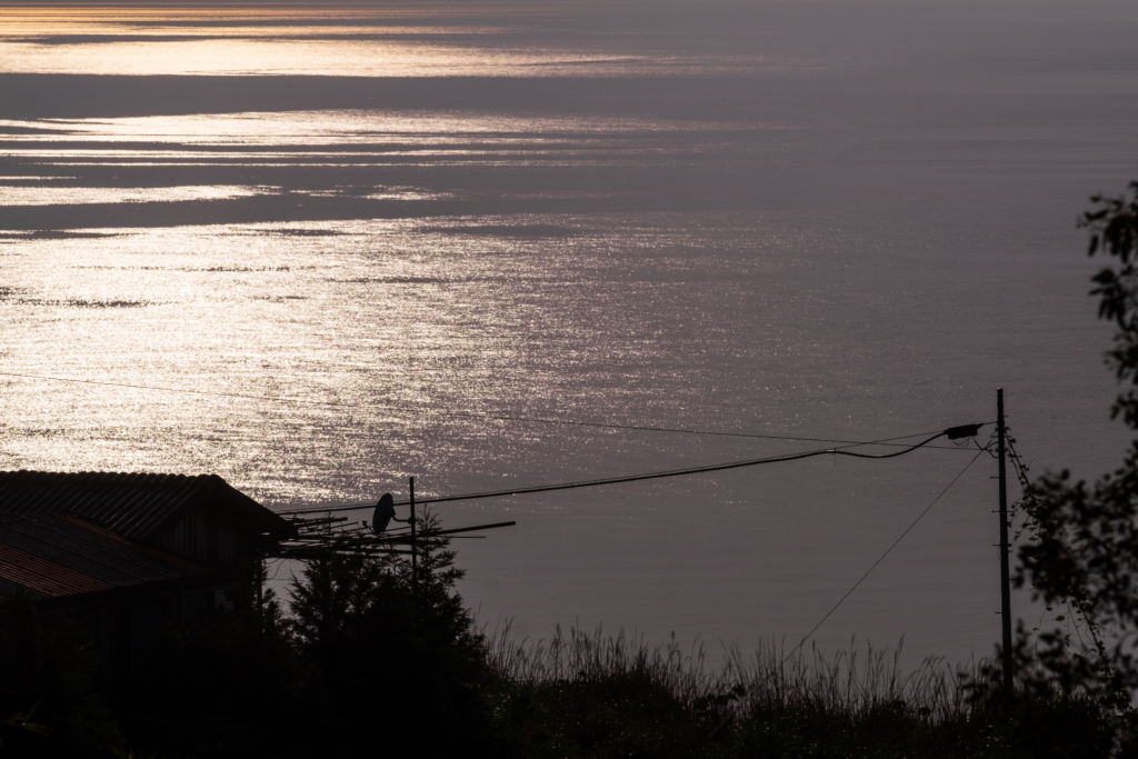眩しくて輝いて