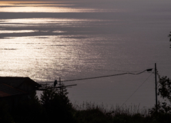 眩しくて輝いて