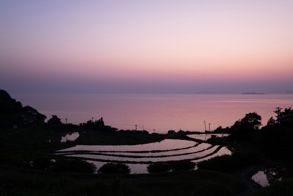 そして棚田は薄紫に染まる