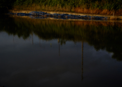 気配のようなもの