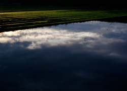 デザイン画の様相