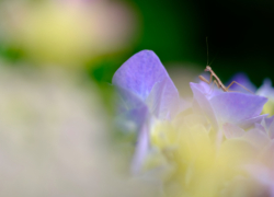 勘違いする距離感