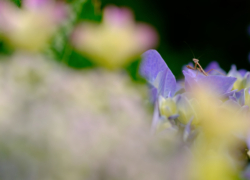 そんな仕草さえ