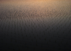 ちょっとくらいがちょうどいい