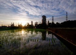 ウルトラマン基地は夕暮れて