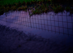 梅雨の晴れ間に夕暮れを拾う