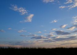 やわらかな夕空と夏草のささやき