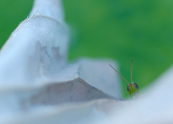 スキマ時間のフォトジェニック