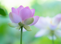 表現できない美しさ