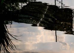 リフレクションを手土産に