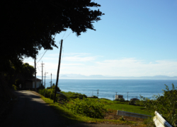 田舎道に夏が薫って