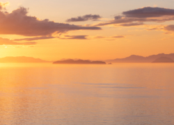 瀬戸内ゴールド