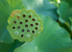 顔に見えませんか？