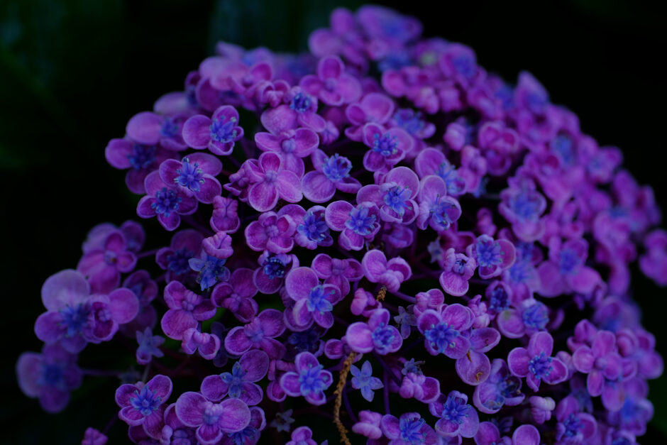 逃げ込んだ先で