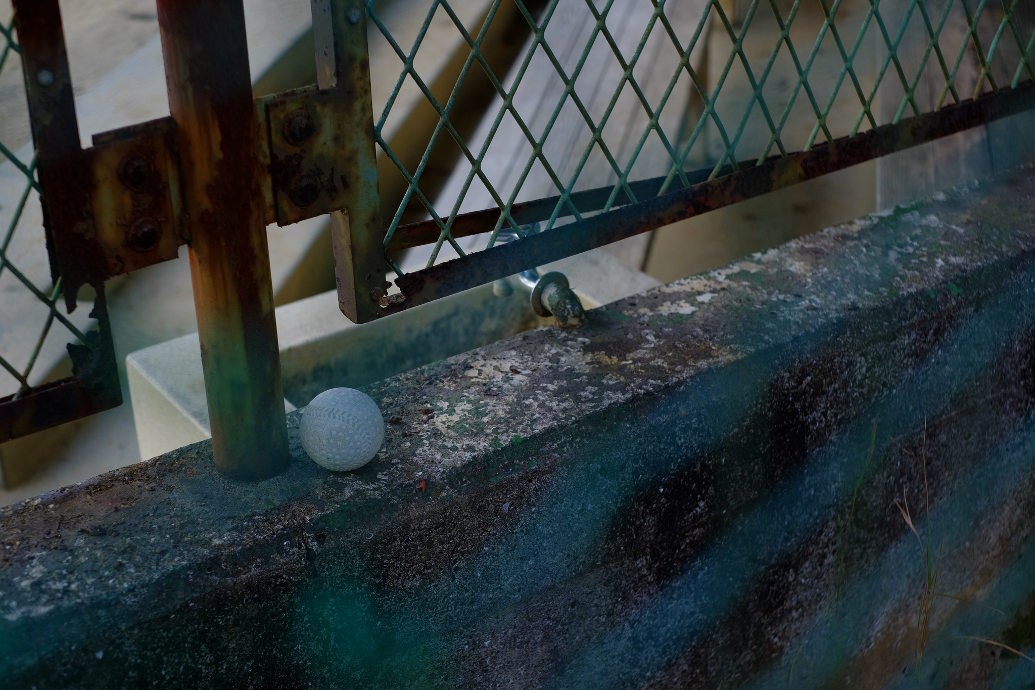 続・フェンスのある風景（大盛り）