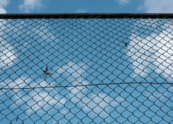 フェンスのある風景