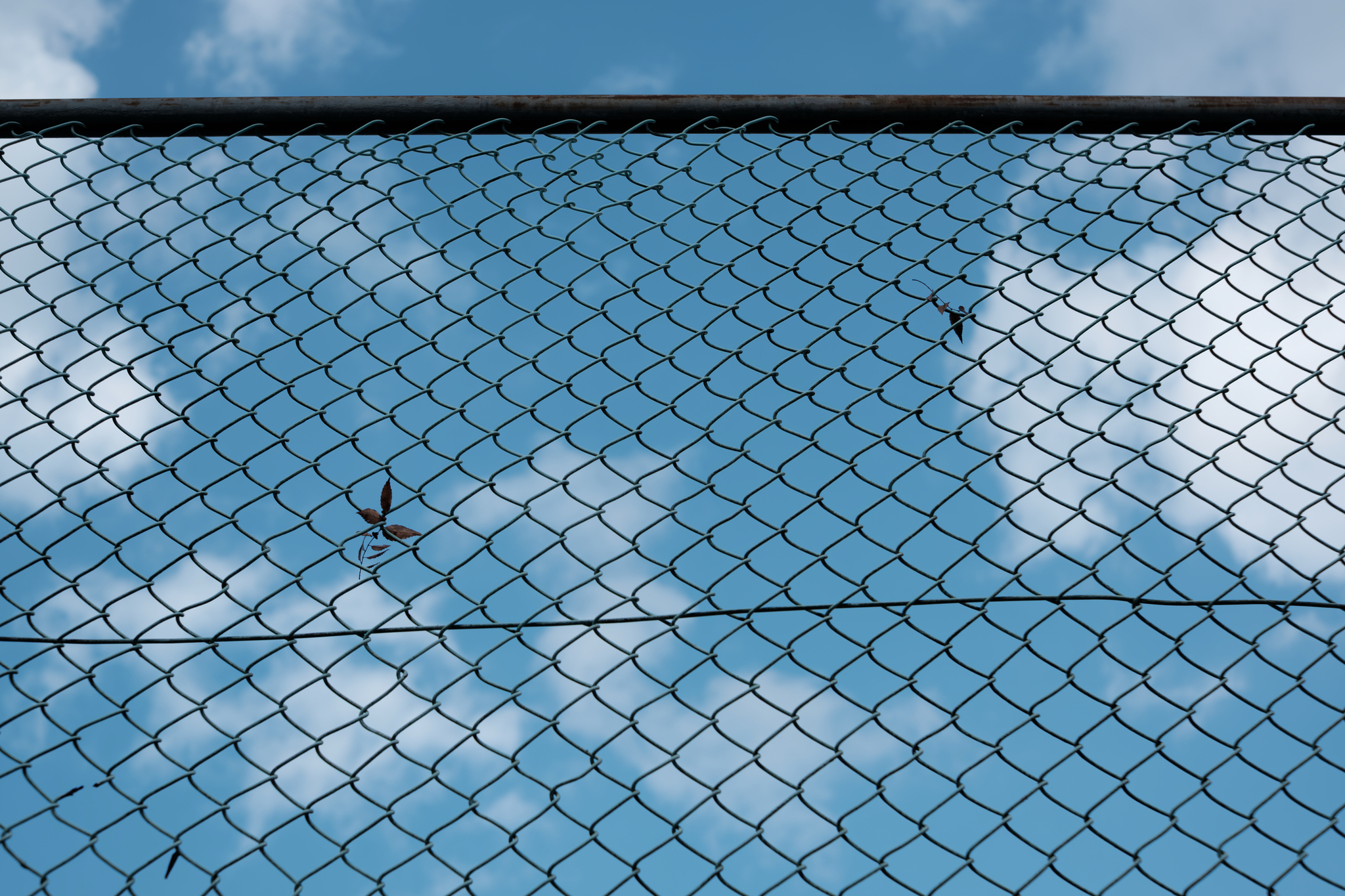 フェンスのある風景