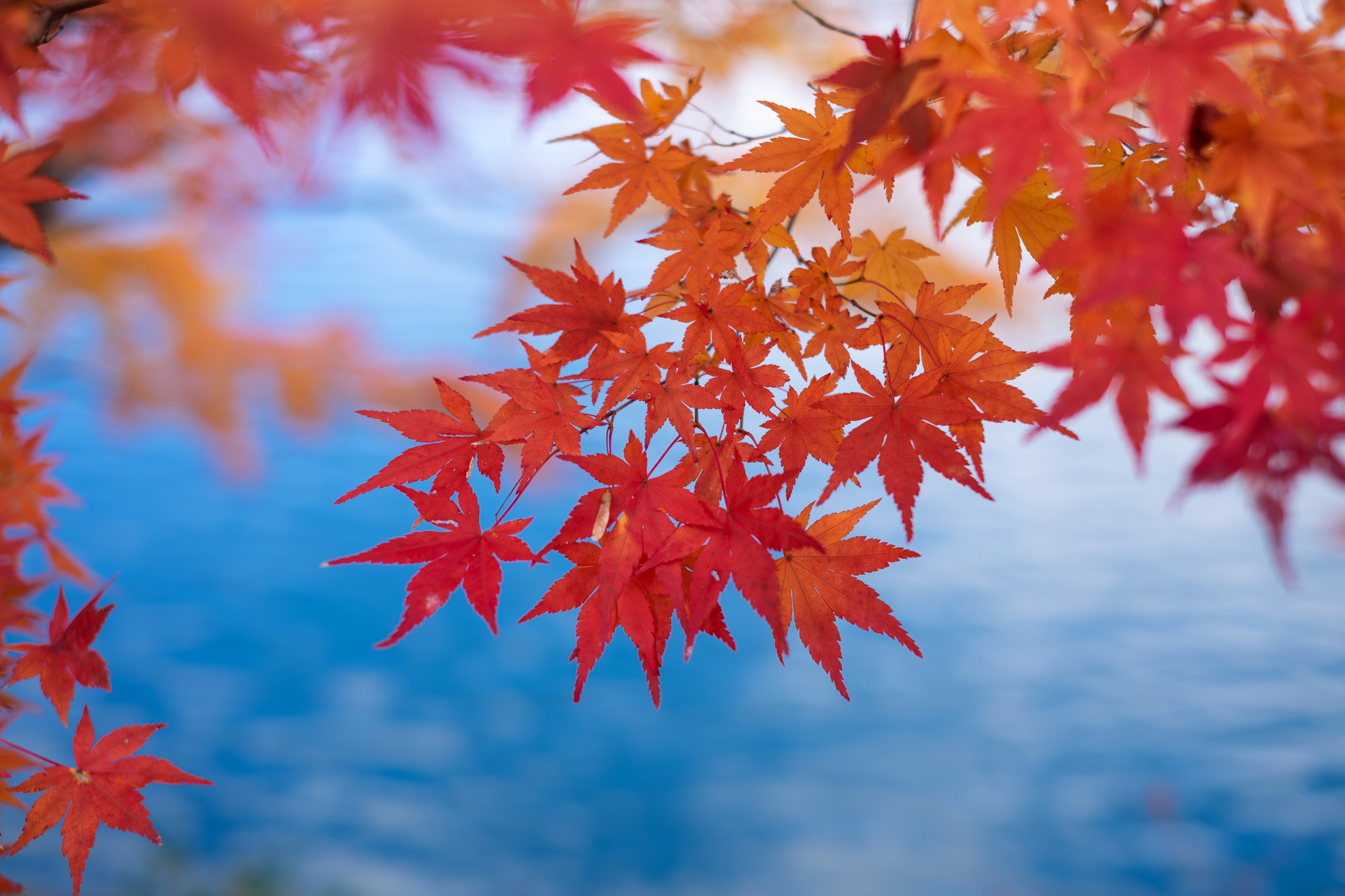 まるでアニメのワンシーン