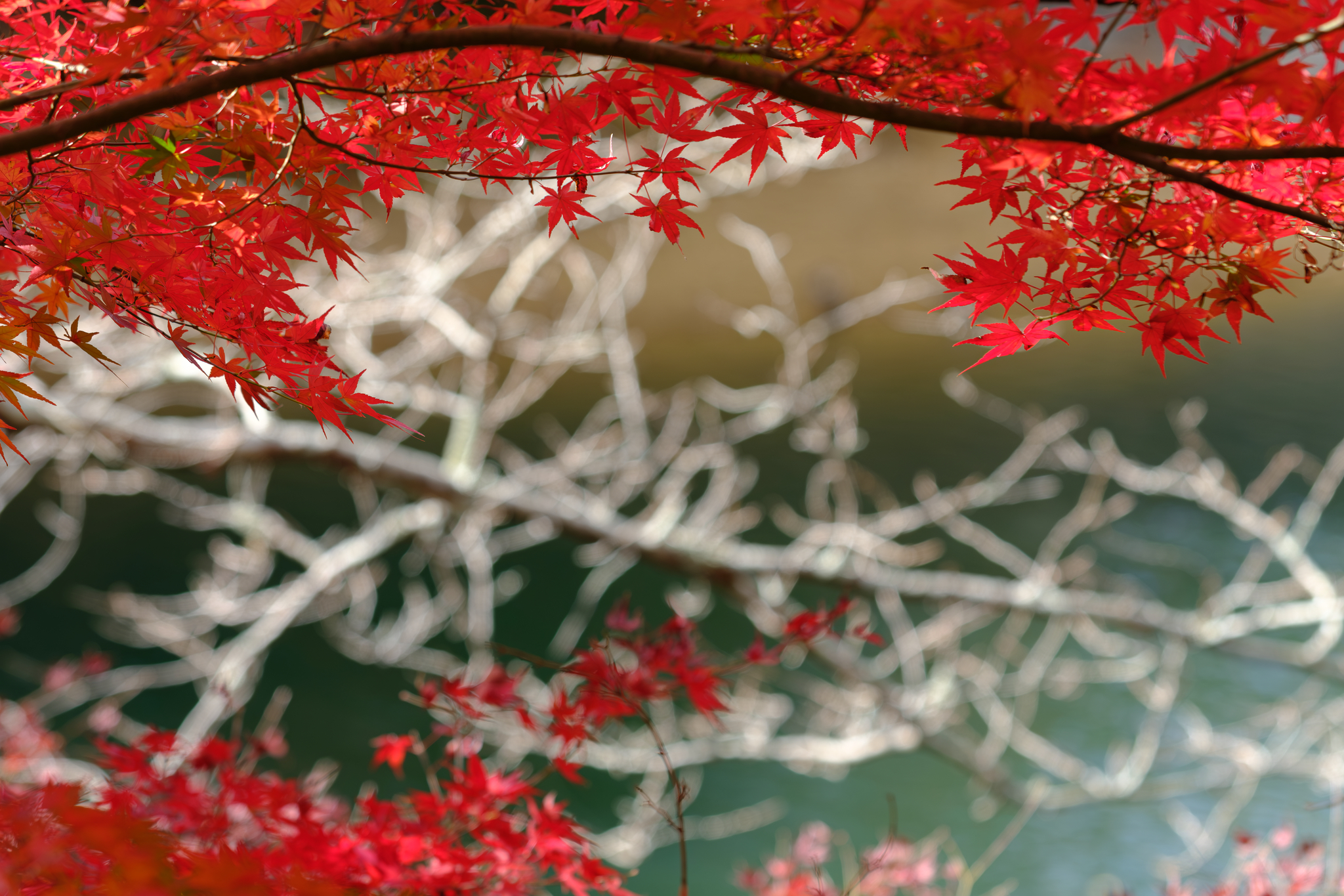 主役はどちらだ？