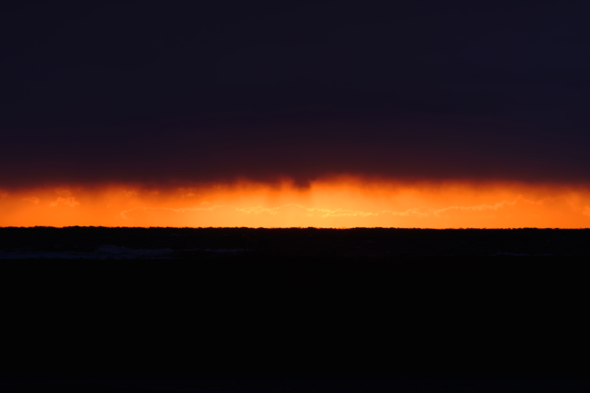 ご褒美はサンドウィッチ