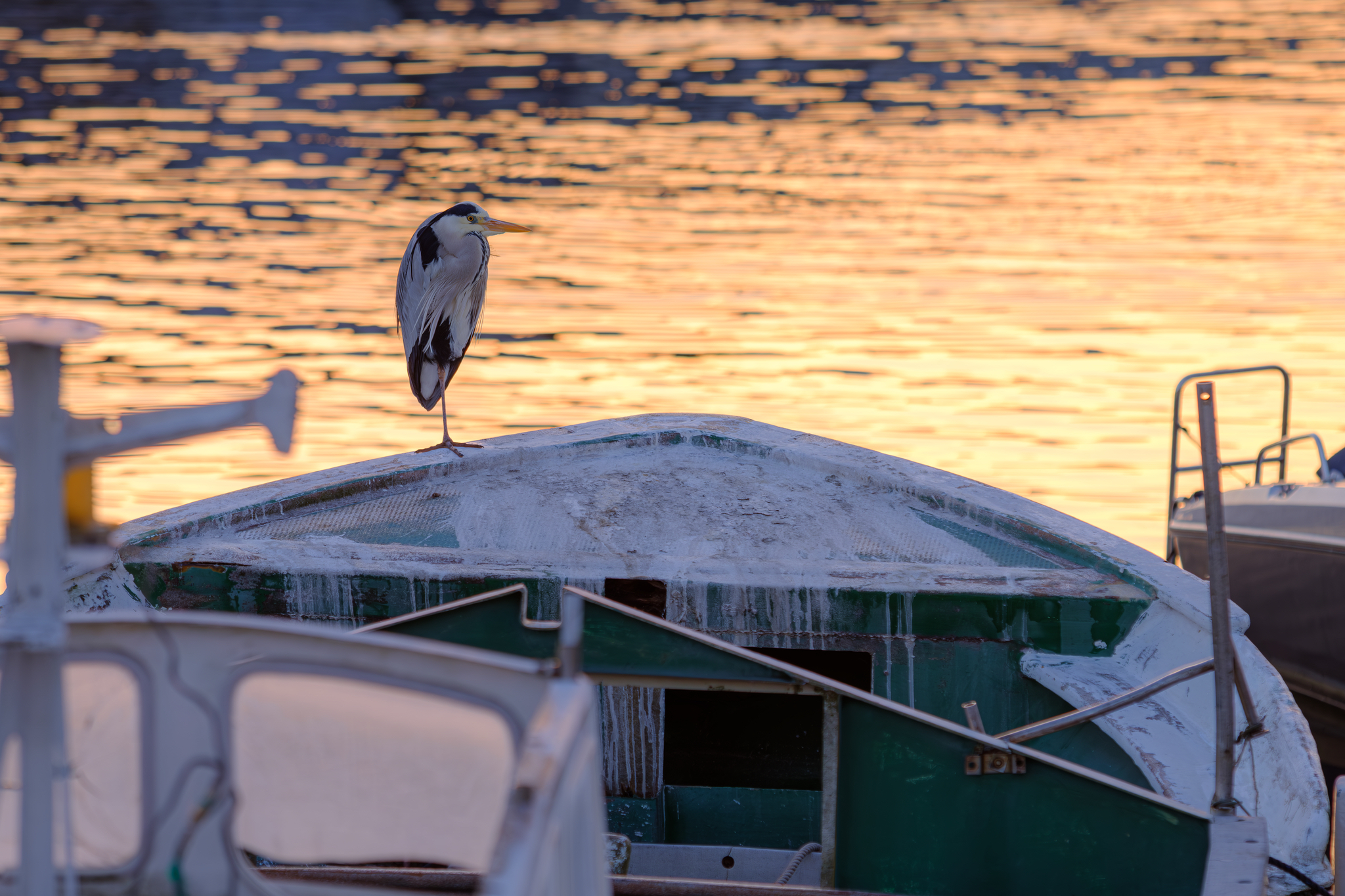 本番は照明が灯ってから