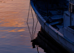 染まる色は港に落ちて