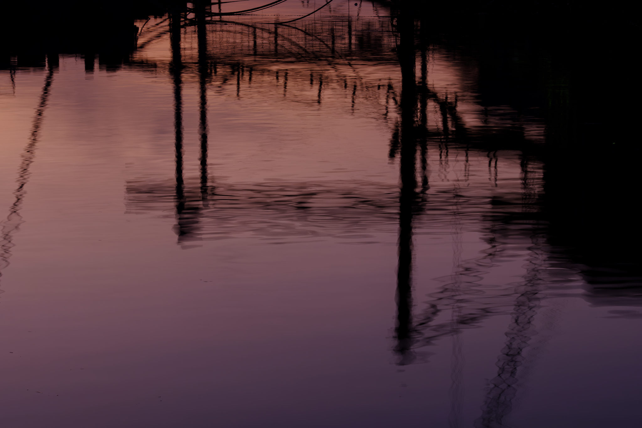紫暮のリフレクション