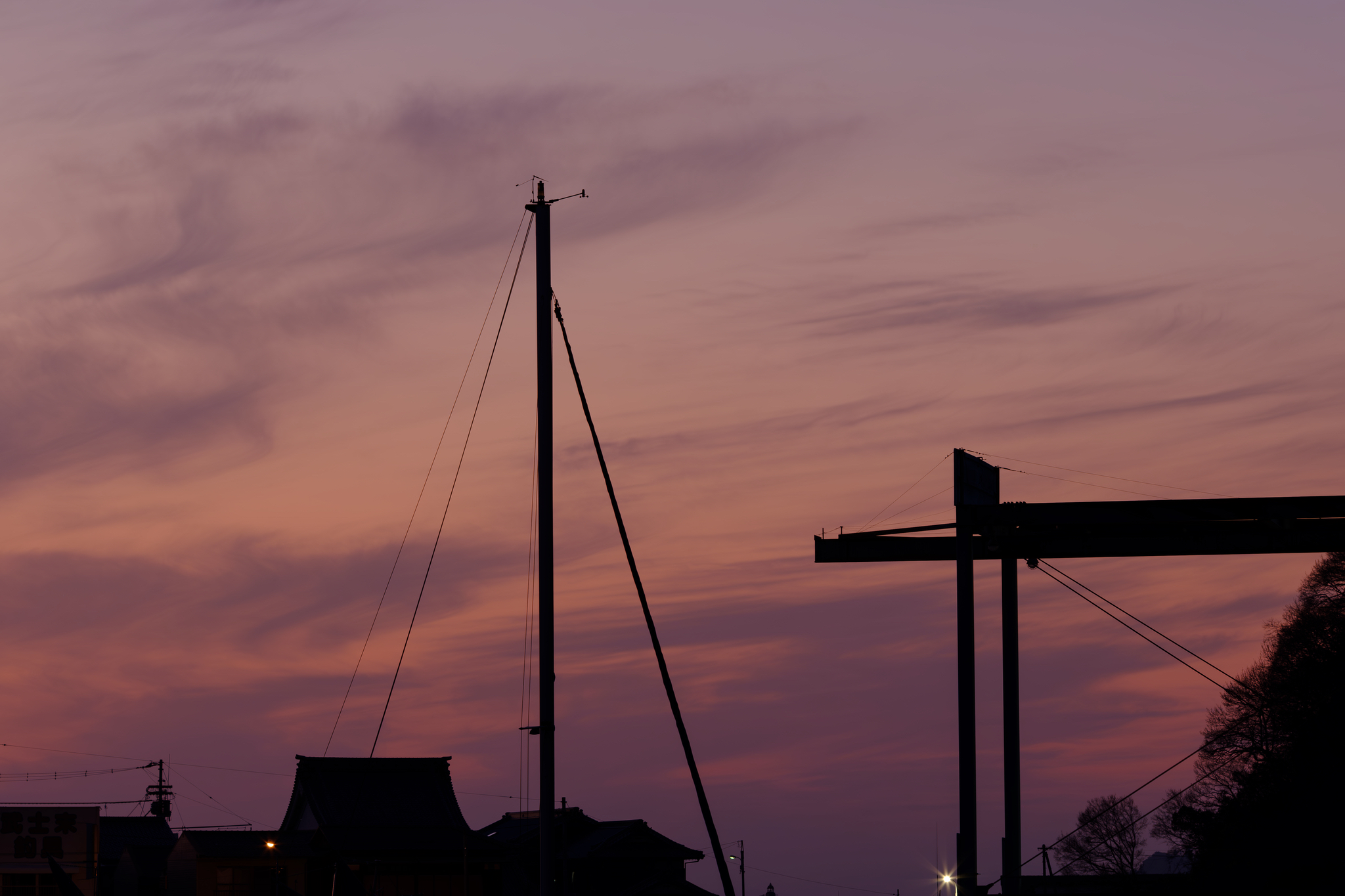 紫の余韻に身を委ねて