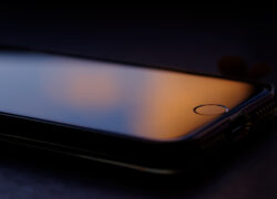 寒波の日は部屋の中で