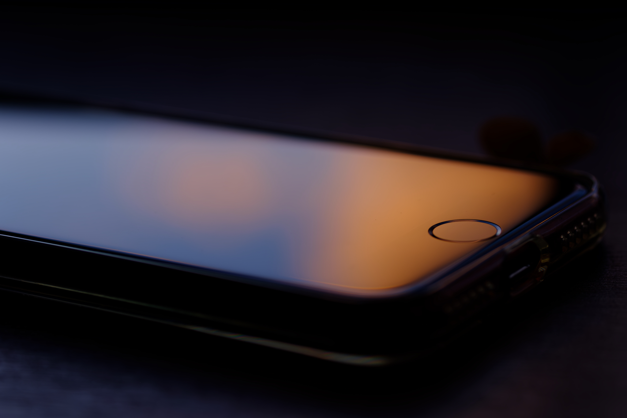 寒波の日は部屋の中で