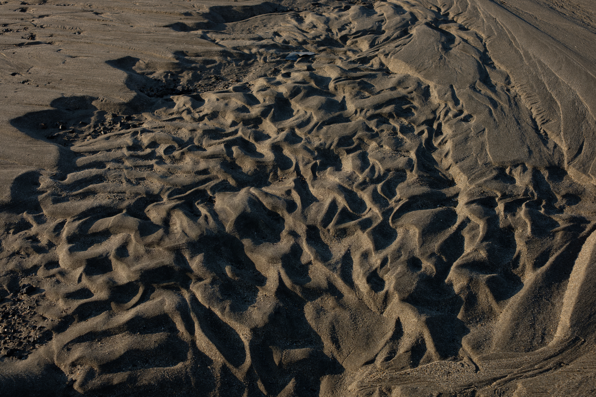 刻まれるのは時間の痕跡