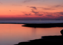 茜色、入江にたゆたう