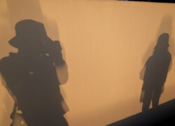 夕光のスクリーン