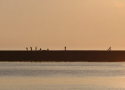 休日の防波堤では