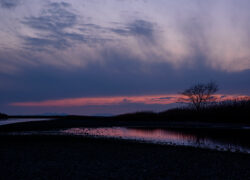 薄明は煙るように