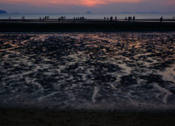 砂紋は夕暮れの記憶