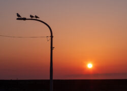 茜色に寄り添って