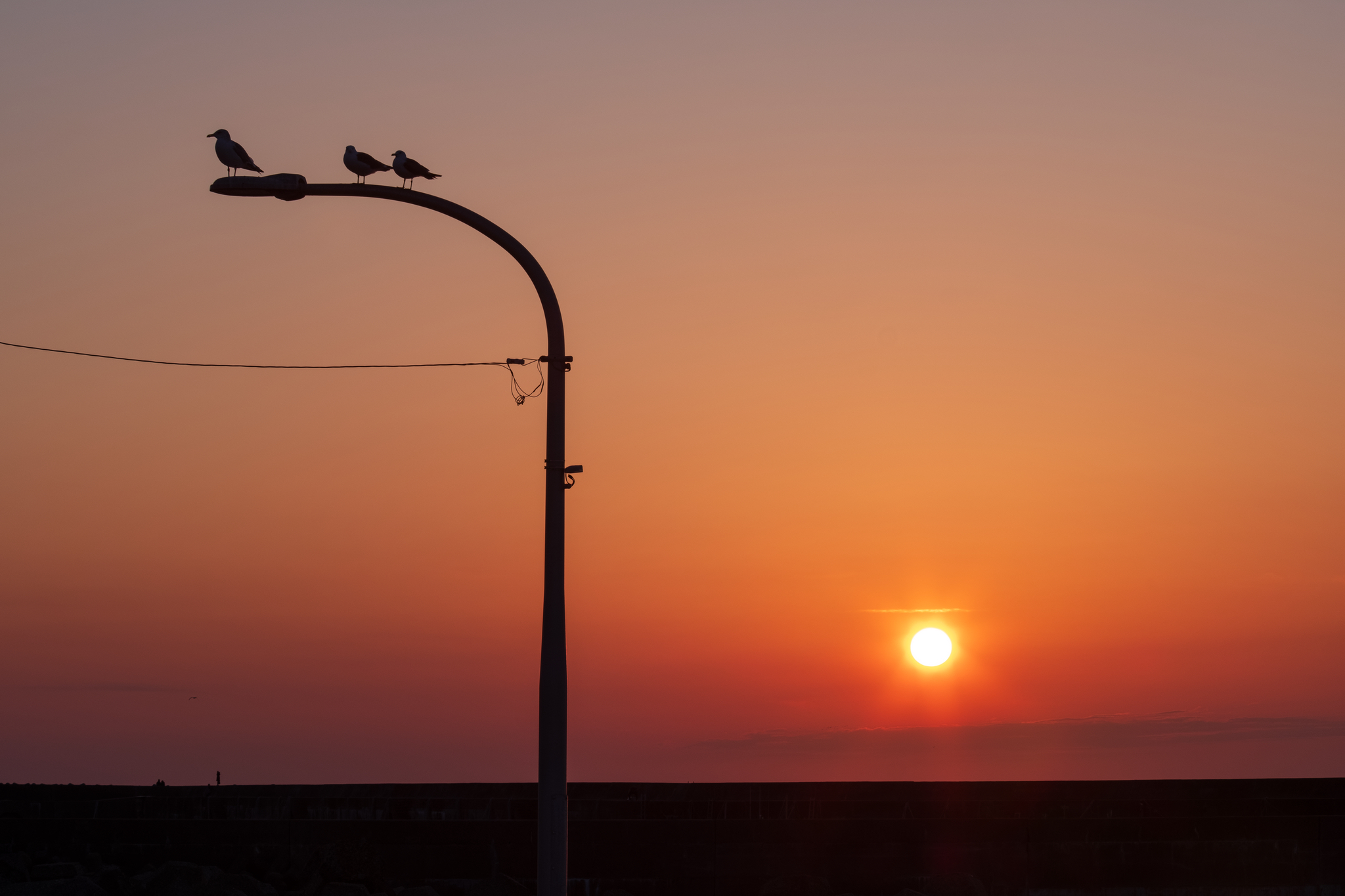 茜色に寄り添って