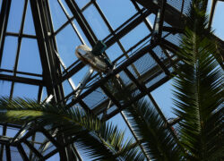 ご挨拶がわりに