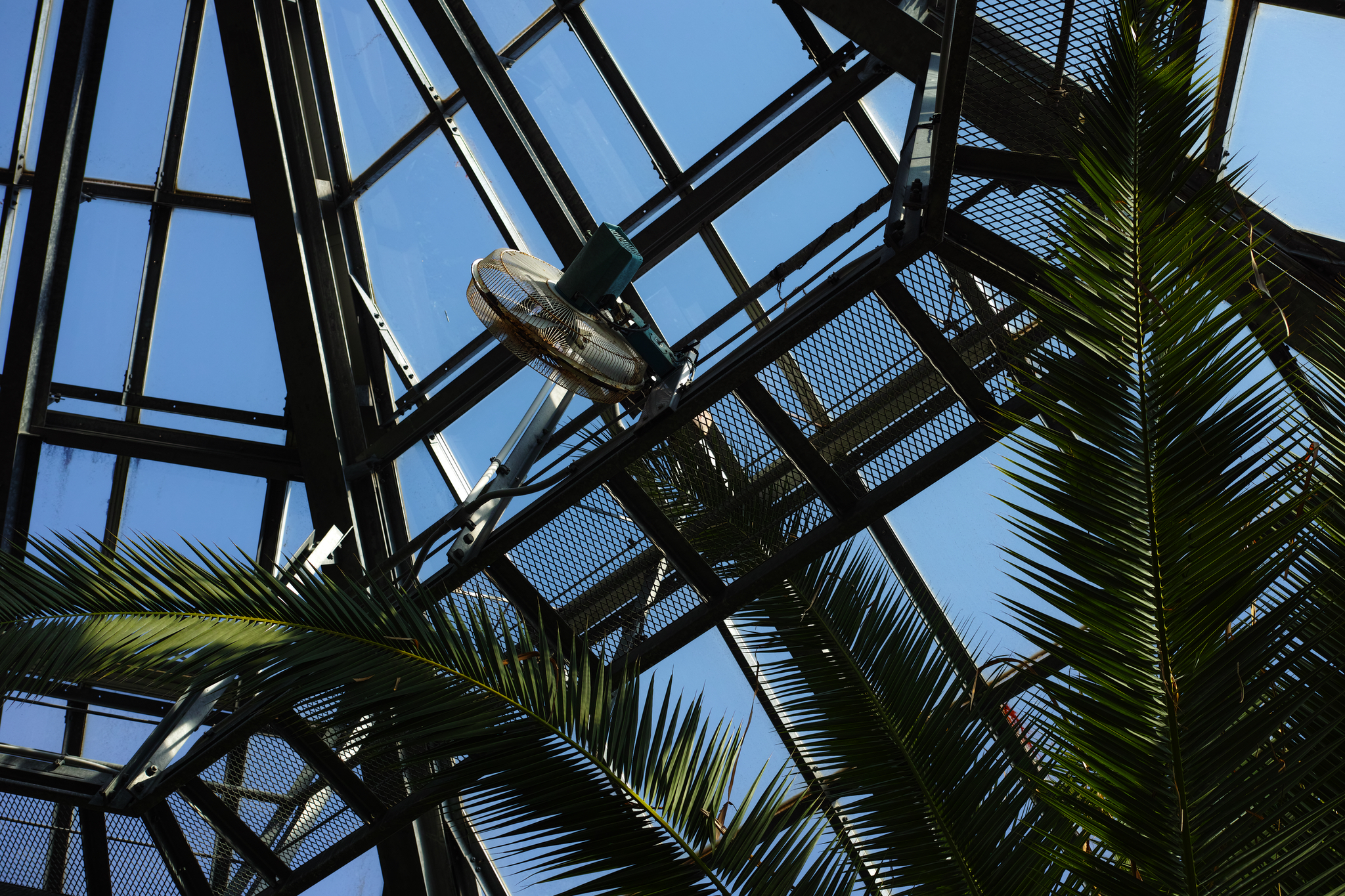 ご挨拶がわりに