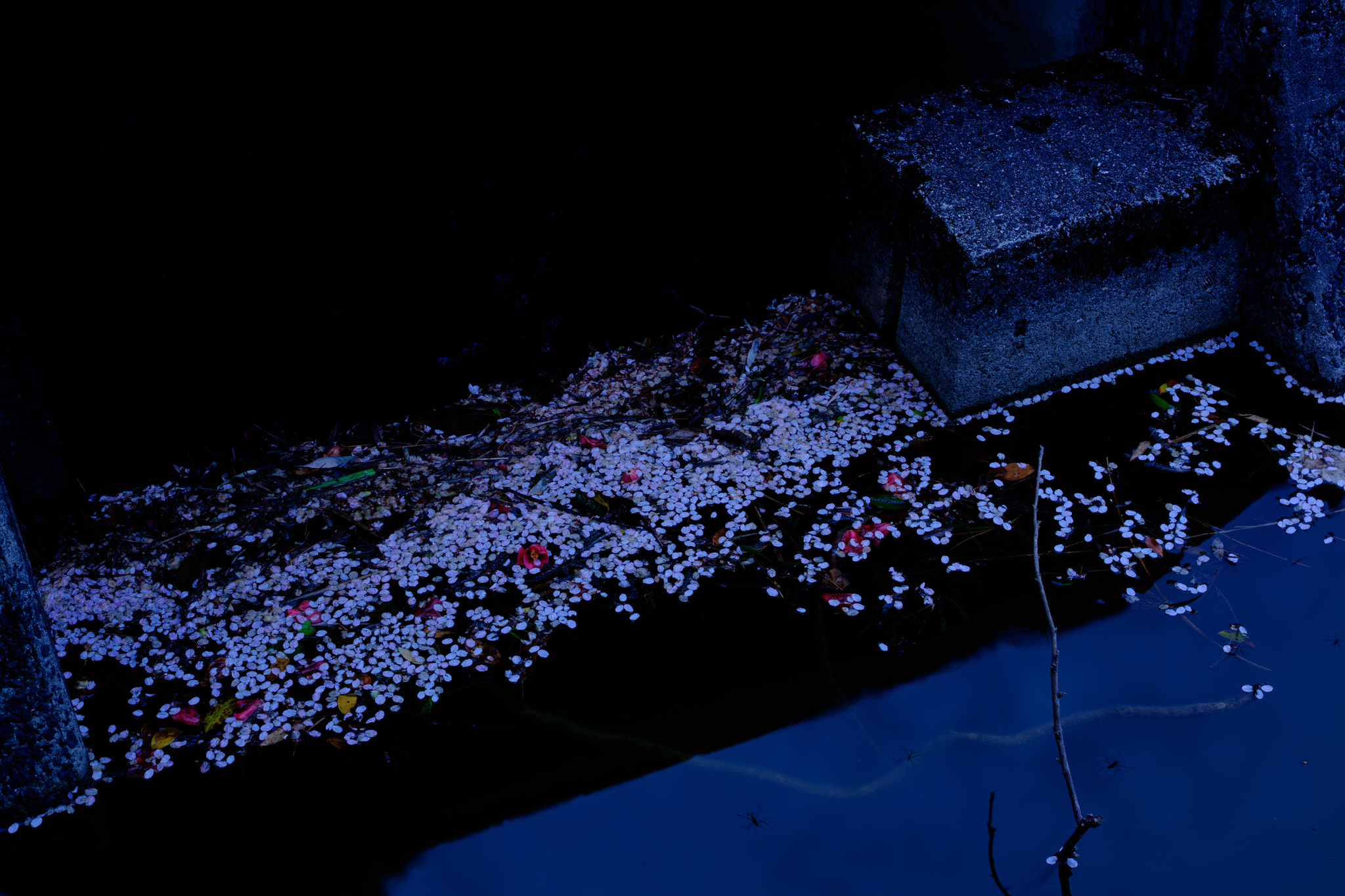 花の名残りに紅を差して