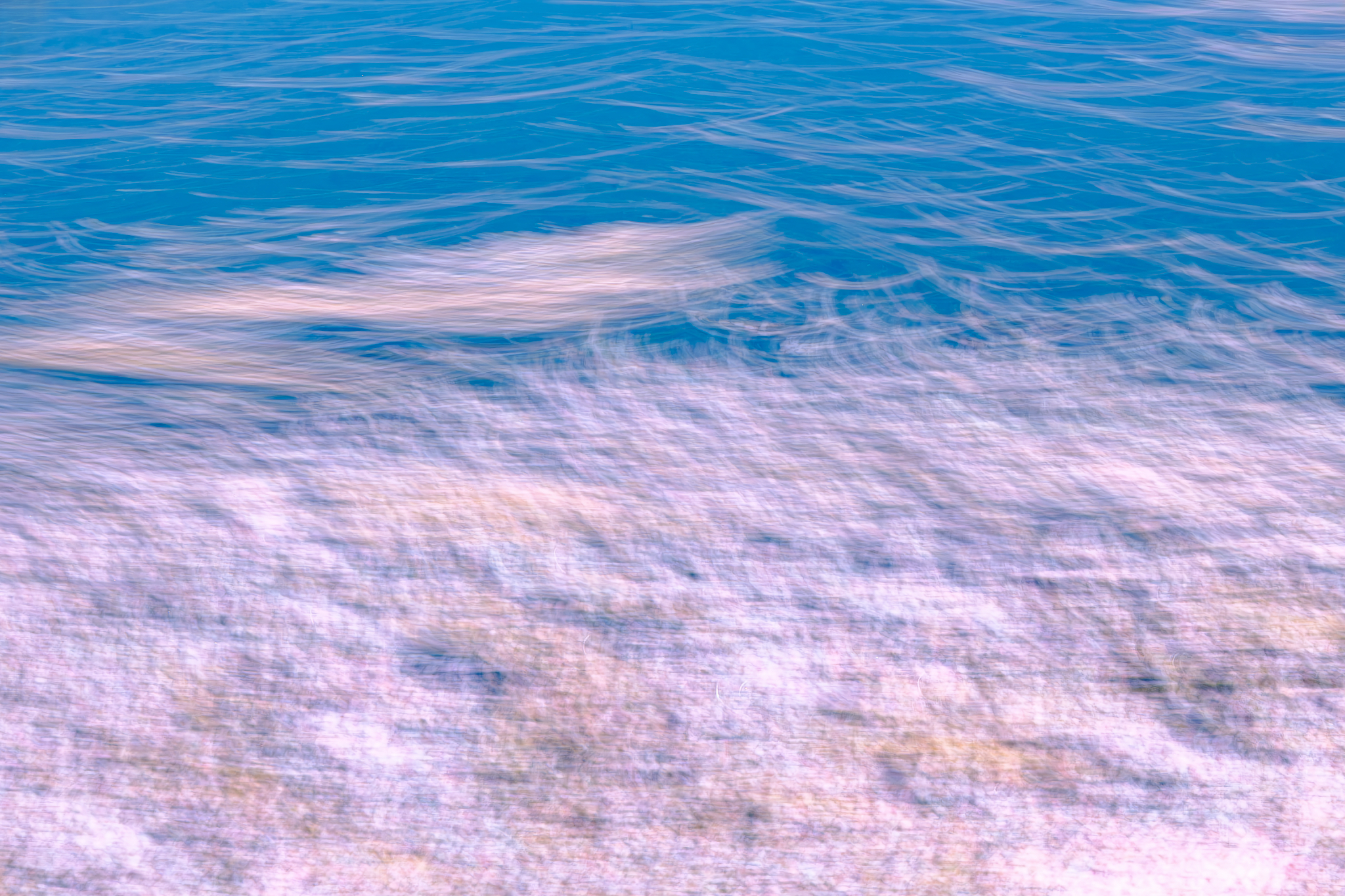 春の残像、淡く滲んで