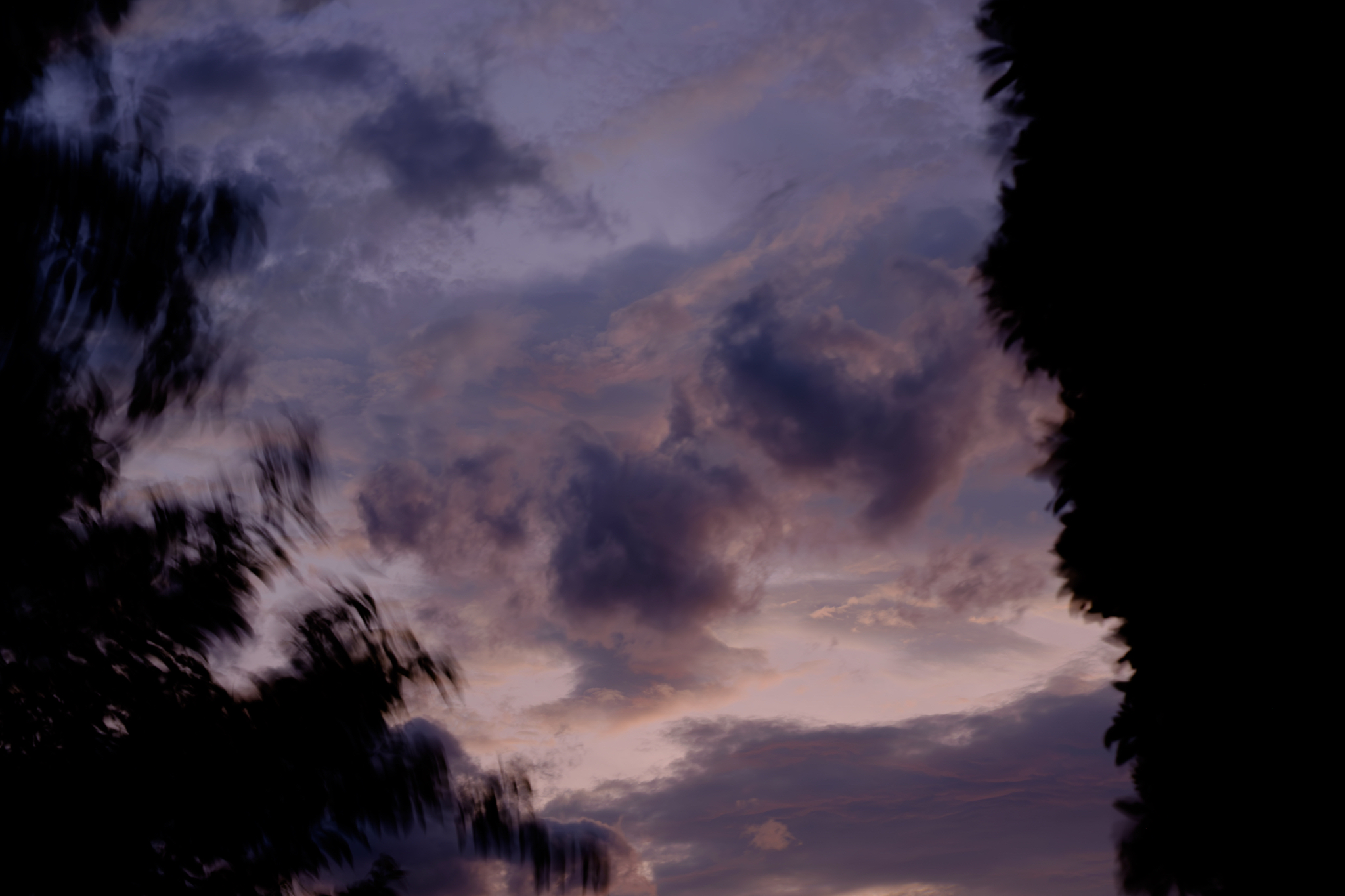 空の筆致