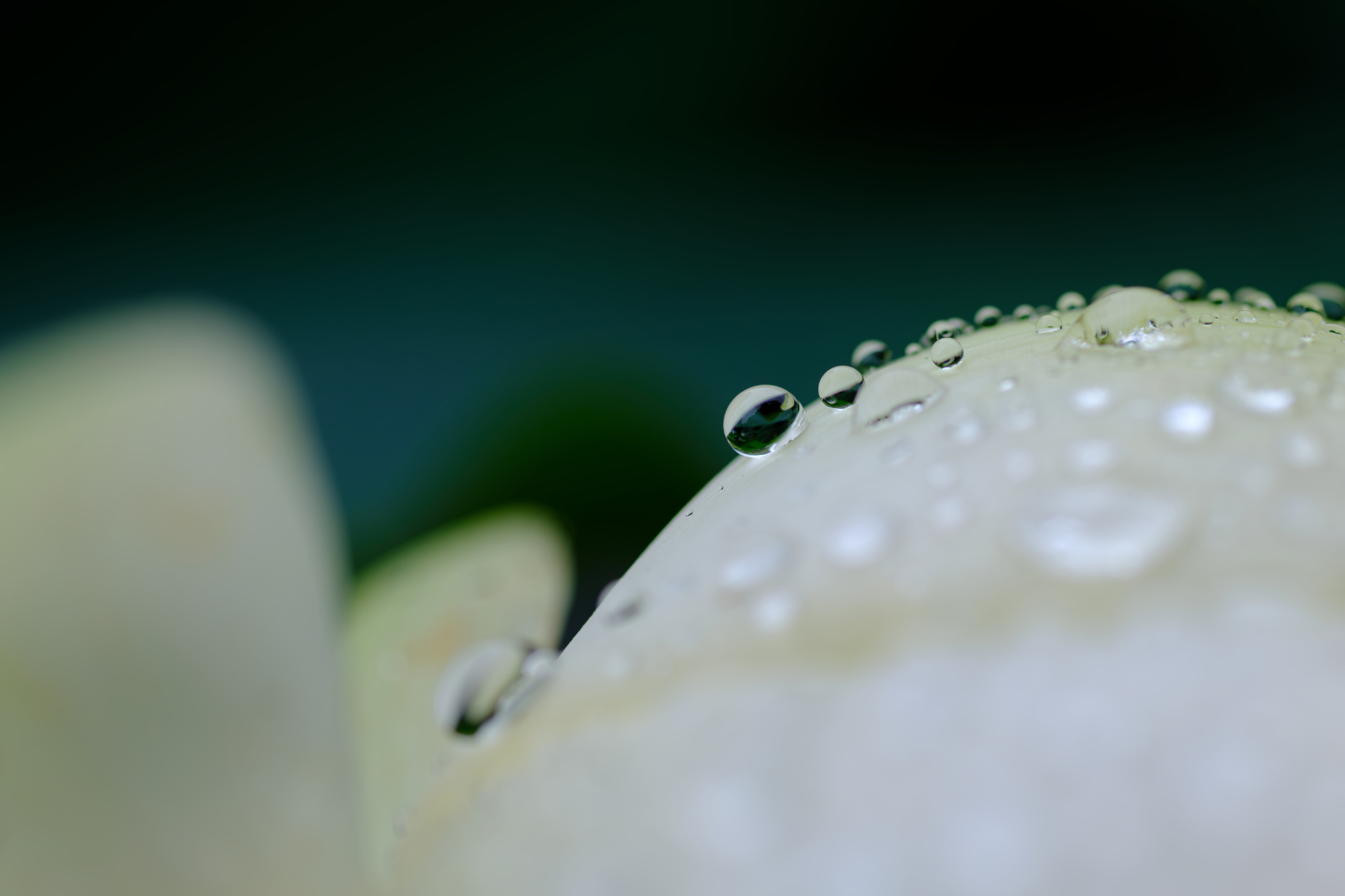 雨粒宇宙