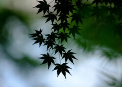 静けさのかたち