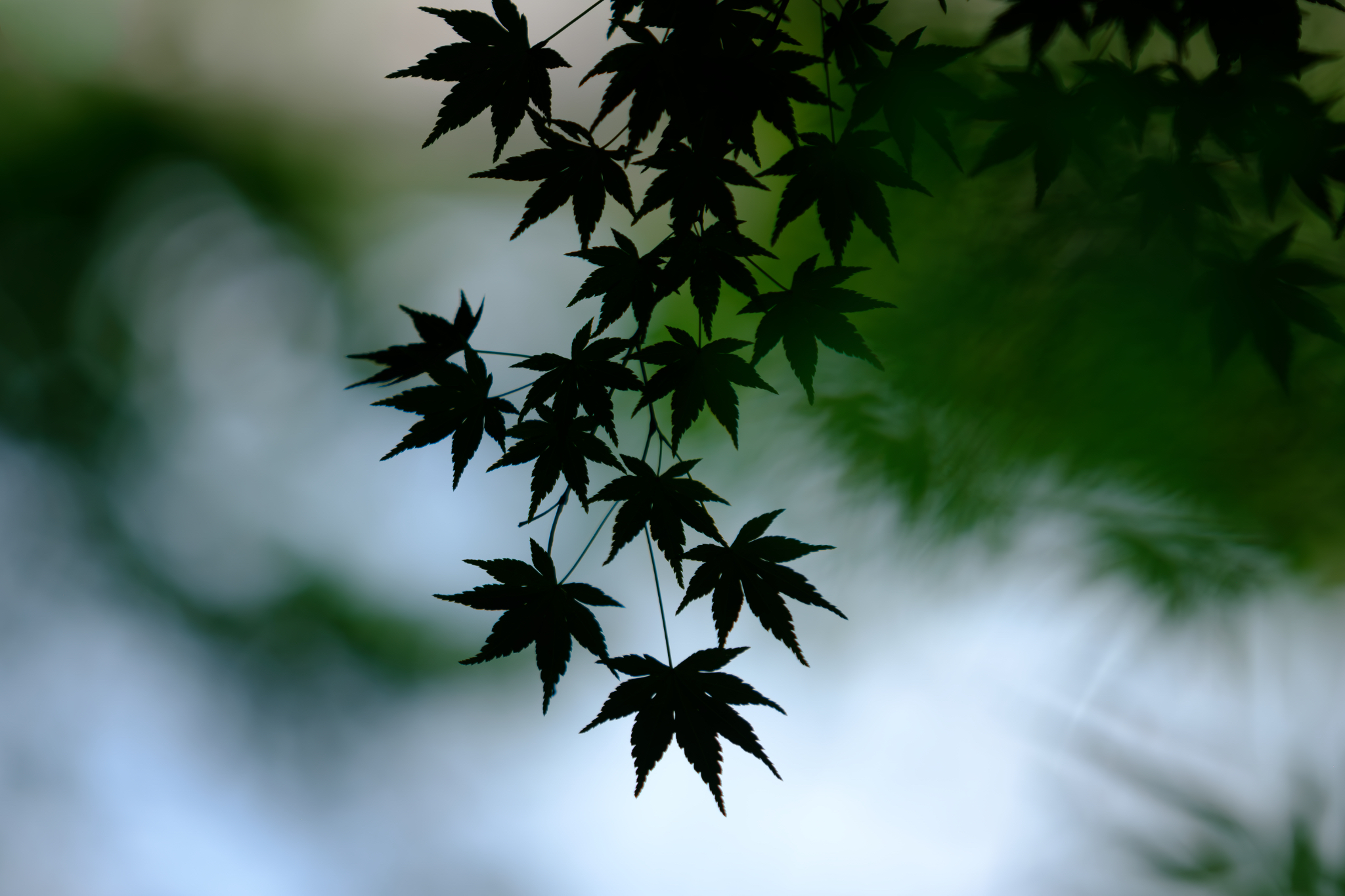 静けさのかたち