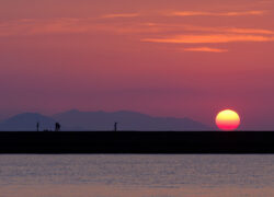 夕日の栞